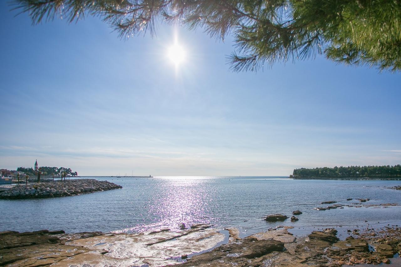Apartment Morena Novigrad Istria Kültér fotó